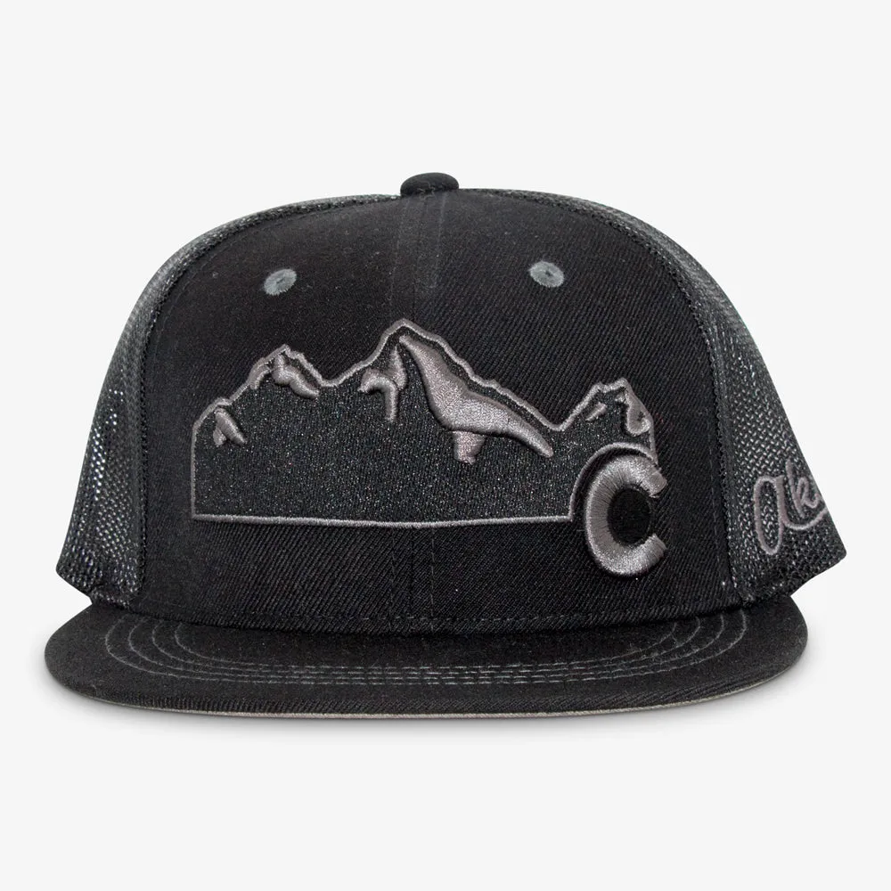 Colorado Mountain Full Flex Hat