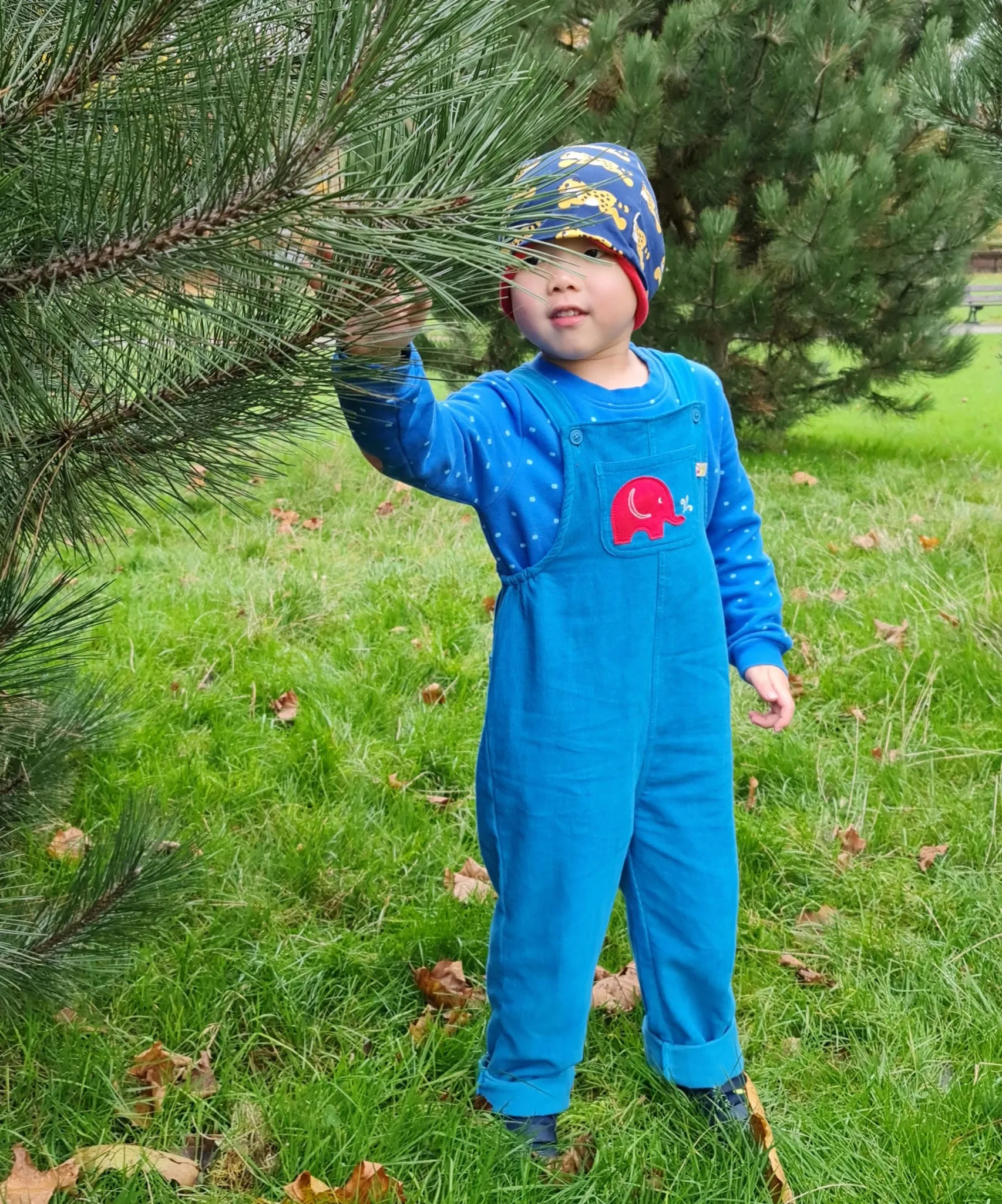 Frugi Babipur Kids Blue Cord Dungarees