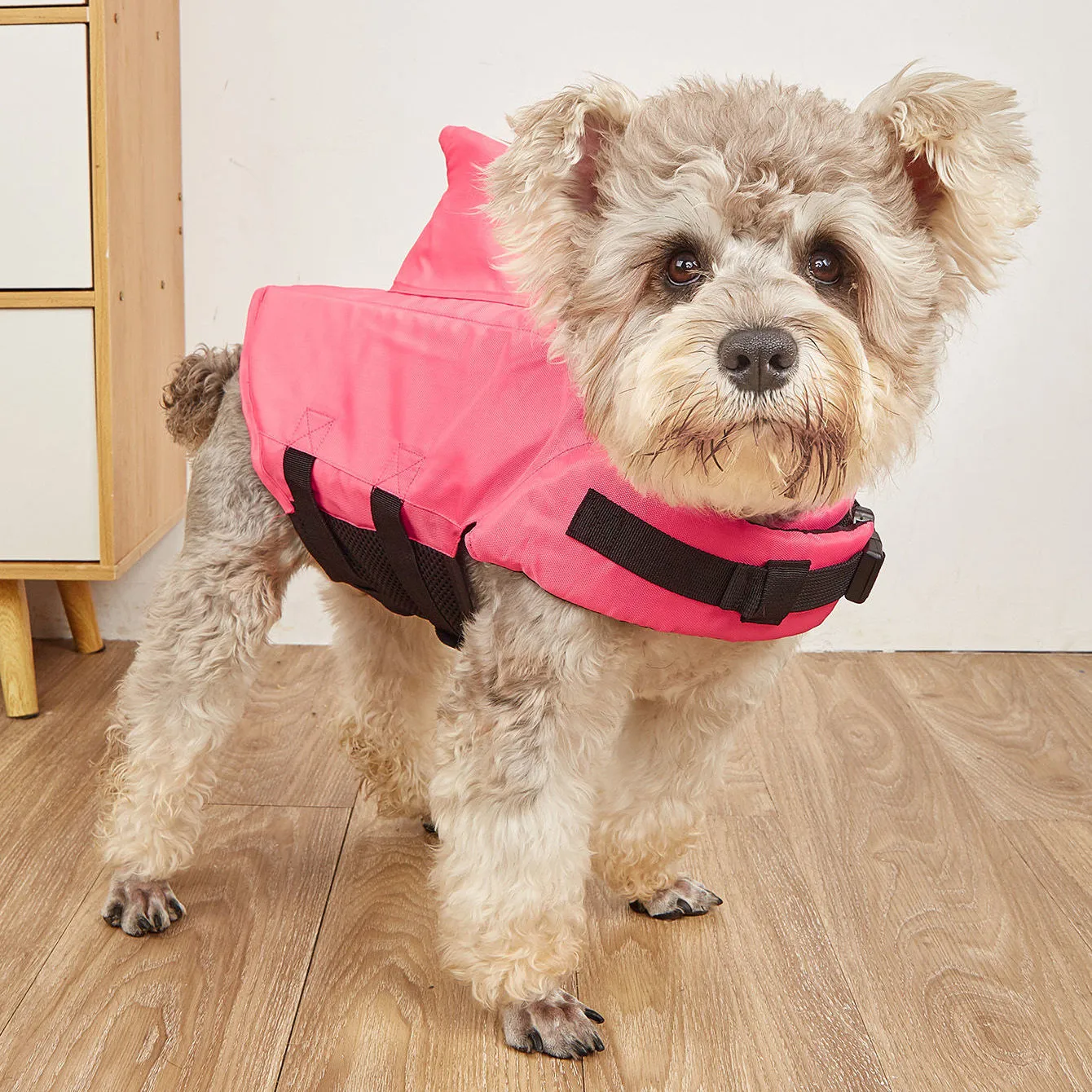 Shark-shaped life jackets